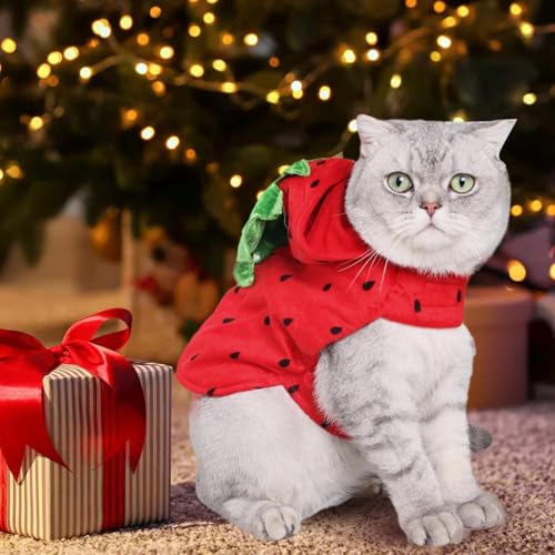 Fantasia de cachorro pequeno morango, fantasia de cachorro de Halloween com morango - Suéter gatinho