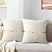 MAIXUN Housses de Coussin, Housses de Coussin en Velours 40x40 cm Beige Taie d'oreiller pour Salon Chambre Bureau Voiture Canapé Coussins de Canapé Doux Carré Décoratifs Lot de 2