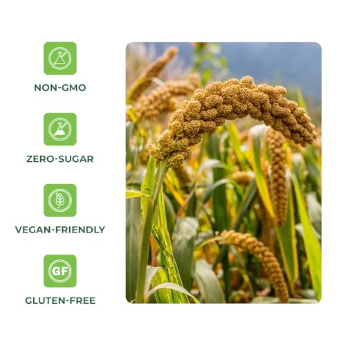Image of Quay Naturals Organic Hulled Millet, 2.5 lbs, USA Grown, Non-GMO, Gluten-Free, Whole Grain, Easy to Digest, Vegan-Friendly