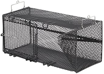 Frabill minnow trap Clearance