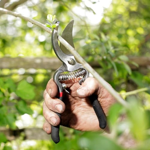 Spear & Jackson CUTTINGSET8 Traditionelles Bypass- und Amboss-Gartenscheren-Set – Ansicht 4