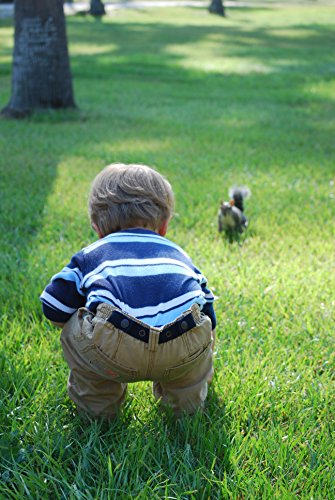 Made in USA Baby & Toddler Adjustable Belt-Royal Blue4