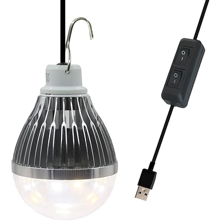 Amazon Co Jp Usb電球 ライト 車中泊ライト キャンプ ライト Usb ライト 読書灯 アウトドア照明 停電対策 3段階調色 電球色 昼白色 昼光色 改良型 1000lm Usb给電 高辉度 パソコン 周辺機器