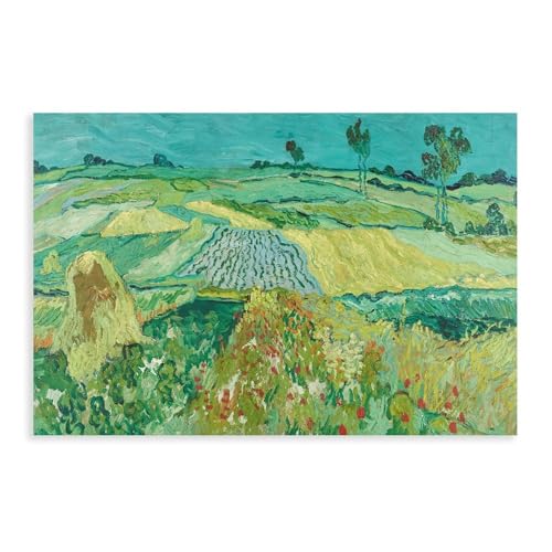 Toile Van Gogh Die Ebene Von Auvers decoration murale 61x91 cm