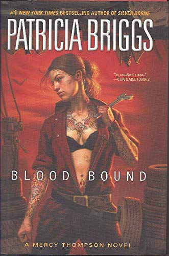 Blood Bound view 2