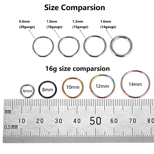 Xpircn 5Pcs 16G Stainless Steel Nose Rings Hoop Hinged Segment Septum Clicker Daith Tragus Helix Cartilage Earrings Piercing For Women Men (Mixed Color, 16G 8Mm, 5Pcs) #TOP3
