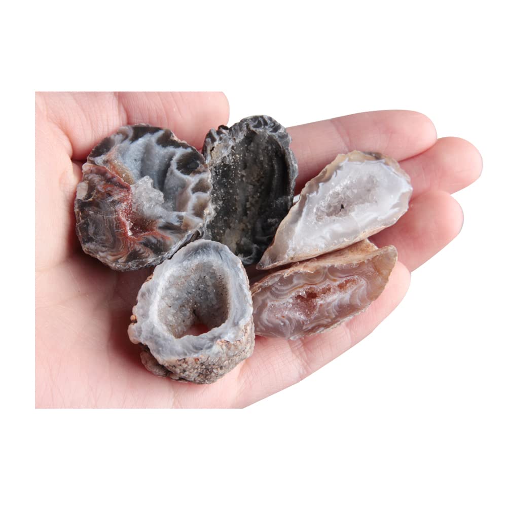Amazon.com: Acxico 5Pcs Mini OCO Geodes Collection Natural Crystal