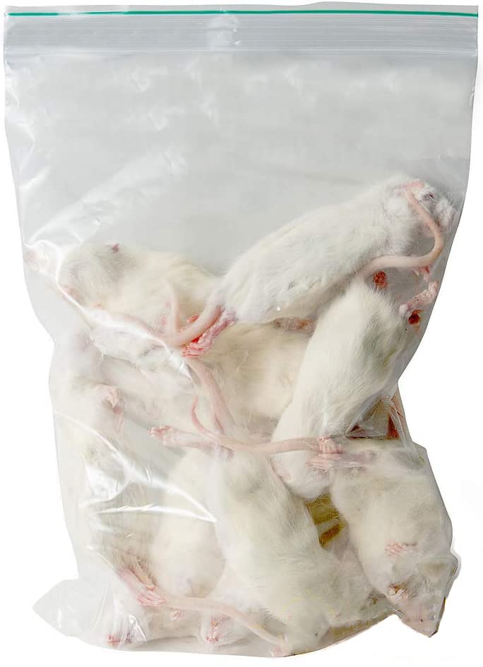 Kiezebrink Large Rats 250-350G Eco Pack 5 Pcs