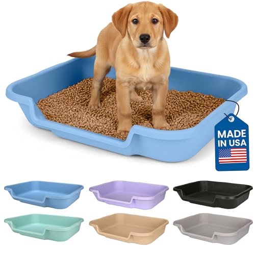 PuppyGoHere Dog Litter Box, Blue Color, Large Size, Durable & Pet Safe Puppy Litter Box, Indoor Open Top Entry Dog Litter Pan, Comfortable for Dogs, Great for Dogs up to 20 lbs