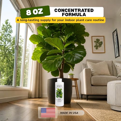 Fertilizante líquido 3-1-2 para Fiddle Leaf Fig 8 oz miniatura 6