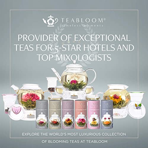Teabloom Holiday Flowering Teas - 12 Assorted, Delicious Berry Blooming Teas - Premium Green Tea + Cranberry, Blueberry, Acai Berry & Strawberry #TOP4