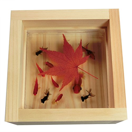 Amazon.co.jp: Headphones, Ranchu, Ranchu, Ranchu, Resin Goldfish