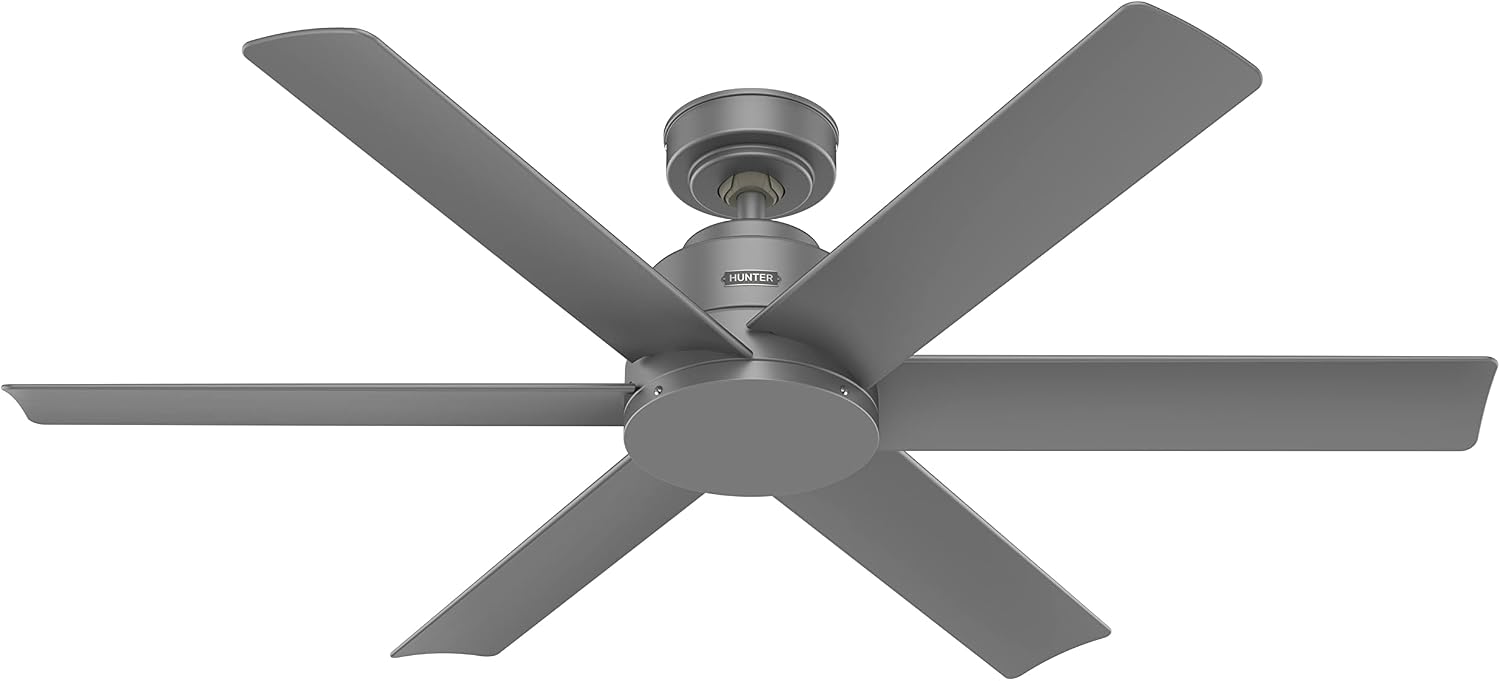 Hunter Fan 52 inch Casual Matte Silver Outdoor Ceiling Fan with 6 Blades (Renewed)
