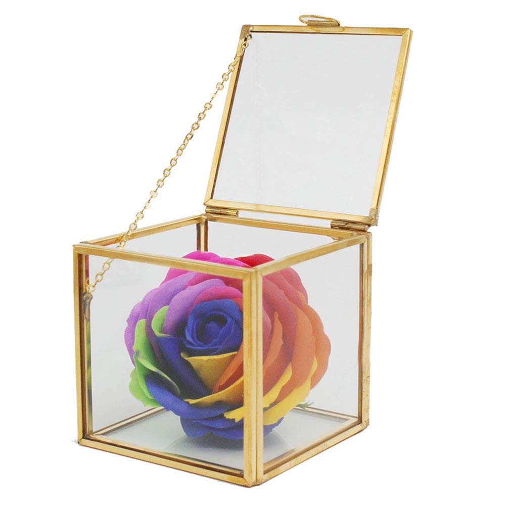 Mini Glas Geometrische Terrarium ContainerModerne Tischplatte Pflanzer Fensterbank Regale DIY Display Box Herzstück für Sukkulente Luft Pflanze Miniatur Feengarten, Gold