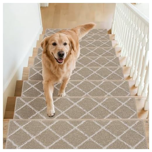 Non-Slip Stair Treads for Safety