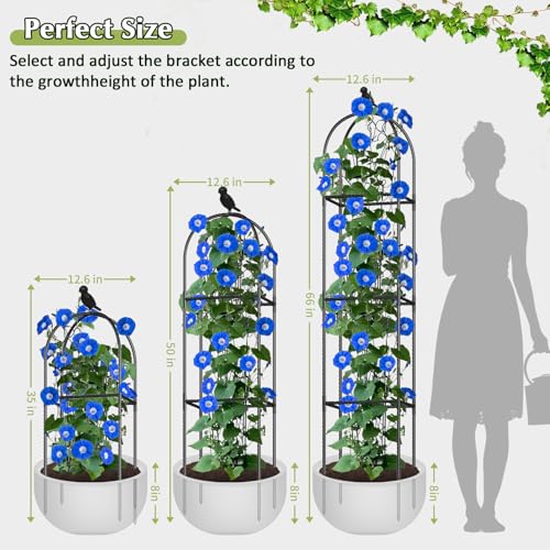Image of Square Tomato Cages for Garden, 6.2 FT Cucumber Trellis for Flowers, Grape, Pea, Rose, Bean, Rustproof Plastic Coated Metal Plant Support for Potted Plants Indoor Outdoor - 2PC Obelisk Trellis