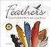 Feathers: A Beautiful Look at a Bird's Most Unique Feature (Nature Appreciation)
