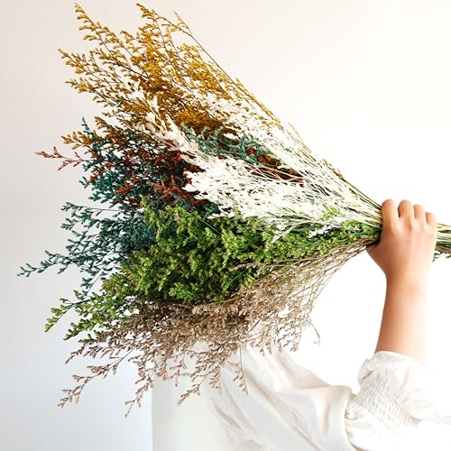 Flores secas Lover's Grass para decoración 50cm miniatura 1
