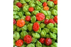 AJI DULCE Puerto Rico Pepper Seeds