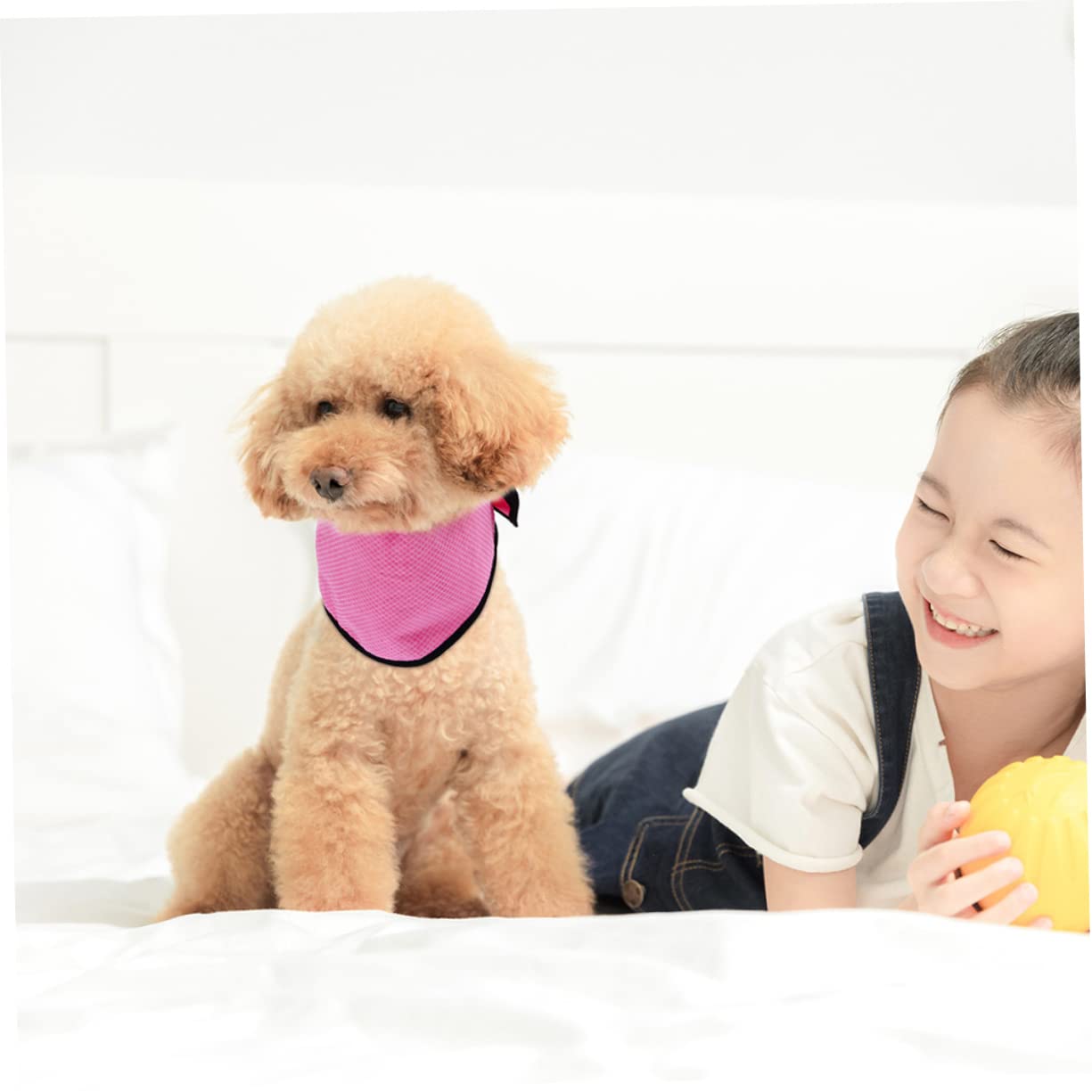 INOOMP 6stücke Kühlende Hundetücher Für Sommeraktivitäten Leichte Atmungsaktive Hunde-kühlhalstücher Für Joggen Und Outdoor-Abenteuer