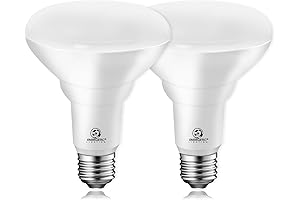 Energetic BR30 LED Recessed Light Bulb - Daylight 5000K