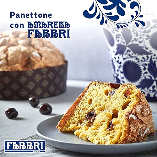 FABBRI Panetone Amarena - 1Kg