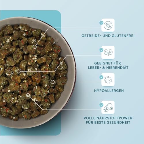 Dr. SAM Premium Snacks für Hunde - Veggie Bites mit Buchweizen, Karotten und Spirulina - hypoallergene vegetarische Gemüse Leckerlis ideal bei Nieren-& Leberdiät - glutenfrei - Treat for Dogs - 200g