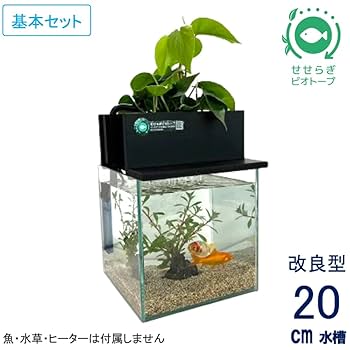 水槽と全てセット(東京取りに来てくれる方限定) 水槽と全てセット(東京取りに来てくれる方限定)