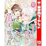 竜の国の魔導書 ～婚約破棄された上に呪われて角が生えたので、イケメン魔法使いと解呪に奔走しています～ 12 (異世界マーガレット)