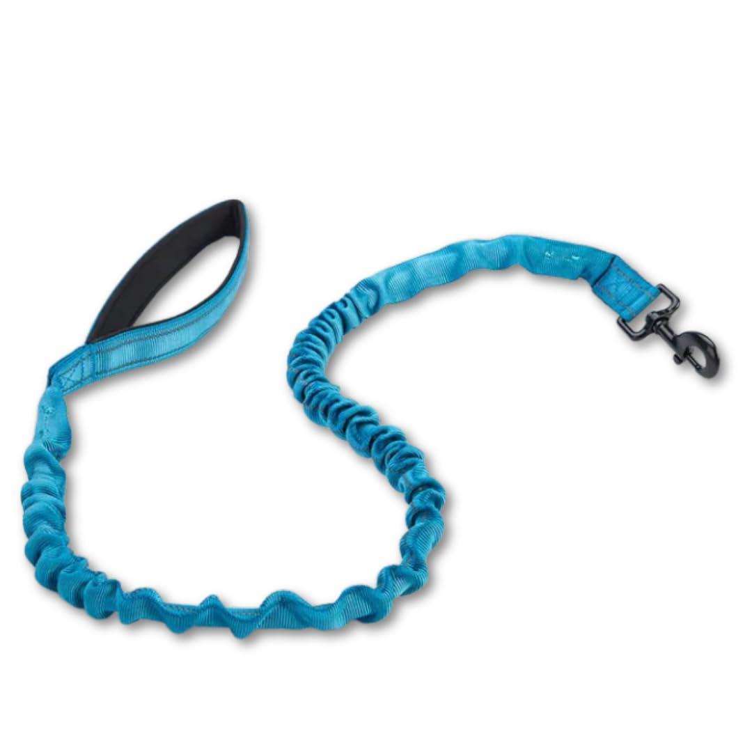 BarknBow Store Dog Large Leash, Heavy Duty Bungee Leash with Soft Padded Handle, Reflective, Strong and Comfortable in Nylon Material Lead, Elastic Leash for Dog, (Blue) (B0C5HY1K6P) Amazon Price History, Amazon Price Tracker