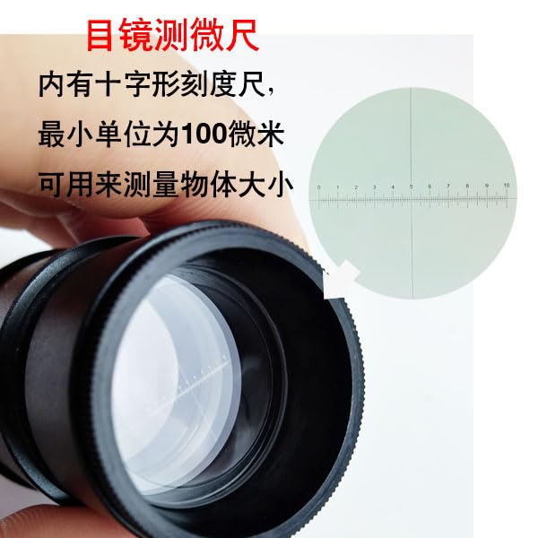2 PCS WF10X WF20X WF15X WF25X Oculare Alto for oculari for microscopio Stereo Parti o Accessori for microscopio oculare(2PC WF10X 22mm)