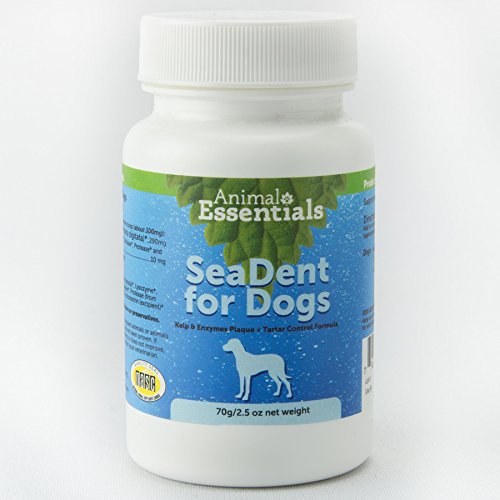 Animal Essentials SeaDent Kelp & Enzymes Plaque & Tartar Control Dog Supplement, 2.5-oz