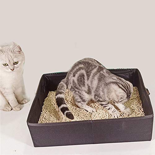 Caixa de areia dobrável e portátil para gatos para viagem verde