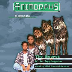 The Secret copertina