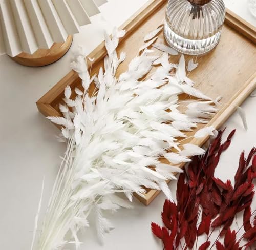 Dried River Oats, Dried Chasmanthium latifolium, Northern Sea Oats，for Wedding, Home Decor, 20 Pieces