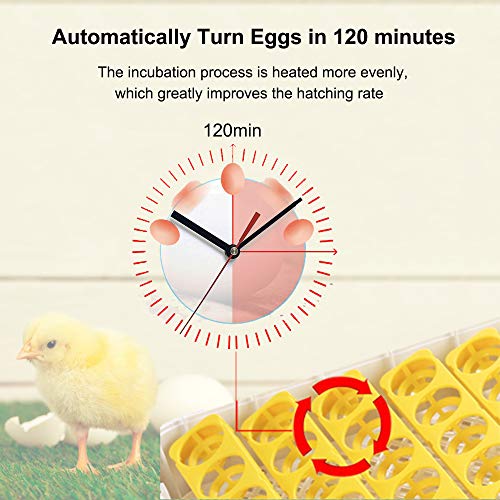 48 Egg Incubator,Incubators For Hatching Eggs,Poultry Hatcher Machine With Automatic Egg Turning,Temperature & Humidity Control,Led Screen,General Purpose Incubator For Chickens Ducks Birds (Yellow) #TOP3