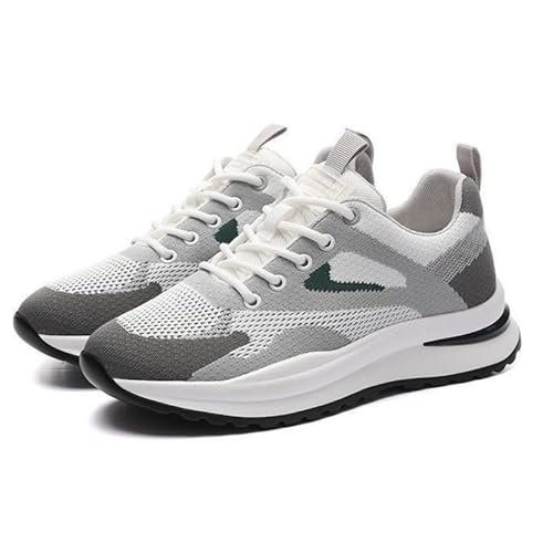 [] jOV[Y Xj[J[ fB[X  L ʋC ^ C  O[  y y  (O[, 25.0cm)