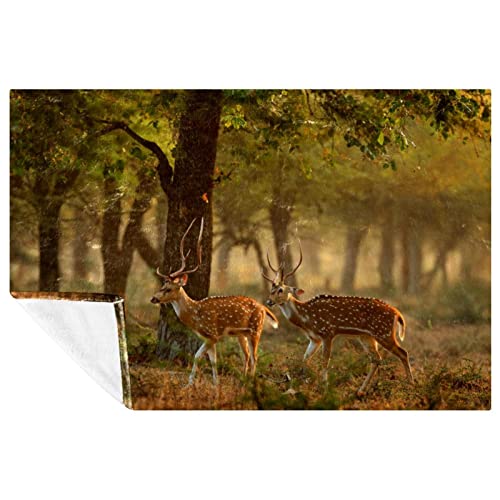 Couverture douce cerf 150x100 cm pour lit et canapé - 2