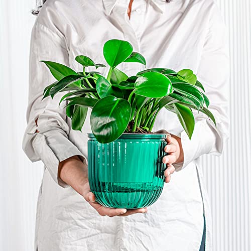 Melphoe 2 Pack Self Watering Hanging Planters Indoor Hanging Flower Pots, 6.5 Inch Outdoor Hanging Plant Pot Basket, Plant Hanger With 3Hooks Drainage Holes For Garden Home #TOP5