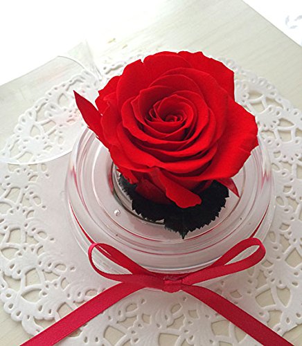 Amazon.co.jp: プリザーブドフラワー 赤 バラ 1輪 ドームアレンジ Amazon.co.jp: プリザーブドフラワー 赤 バラ 1輪 ドームアレンジ