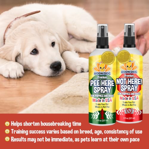 Image of Bodhi Dog Puppy Potty Training Spray System - Teaches Where to Go Potty & Where Not to - Complete Puppy Housebreaking System (Bundle)