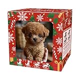 Ai Puppy Robot Roboterhund Mein realistischer Roboterwelpe Interaktives Roboterwelpenspielzeug Haustiergeschenk für Little Live Pets Kinder Erwachsene Realistischer Hund Interaktive Plüschroboterhunde