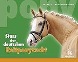 Stars der deutschen Reitponyzucht 2