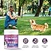 Kynbnire Dog Allergy Chews for Itchy Skin and Seasonal Allergies, Dog Allergy and Itching Skin Relief with Probiotics and Turmeric, Allergy Paw Relief and Dogs Coat Immune -160ct