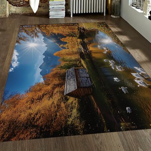 Tapis lavable antidérapant grand format pour zone humide - 2