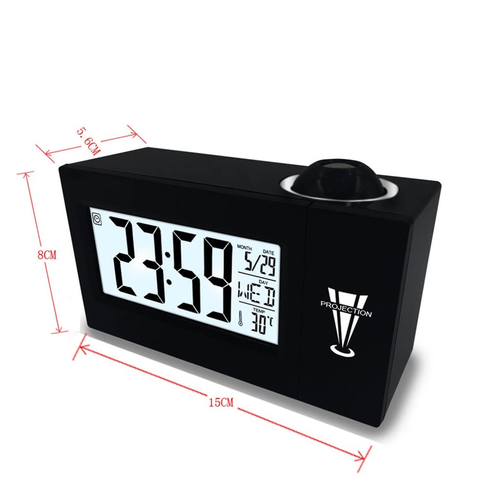 Portulaca Sundial Tangerine 2,000 Seeds