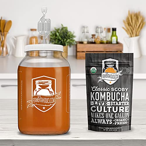 Airtight One Gallon Standard Fermentation Lid Gasket With Airlock - Turns Gallon Jar Into A Fermenter - Hard Kombucha, Beer, Wine, Cider, (Gallon Lid With S-Airlock) #TOP5