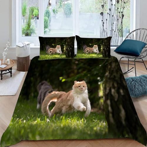 Funda Nordica Cama 135/150 Gato, 3D Funda Edredon 220x240 cm Bosque Microfibra Ropa de Cama Animal Reversible 3 Piezas, Funda de Edredón + 2 Fundas de Almohada b6749