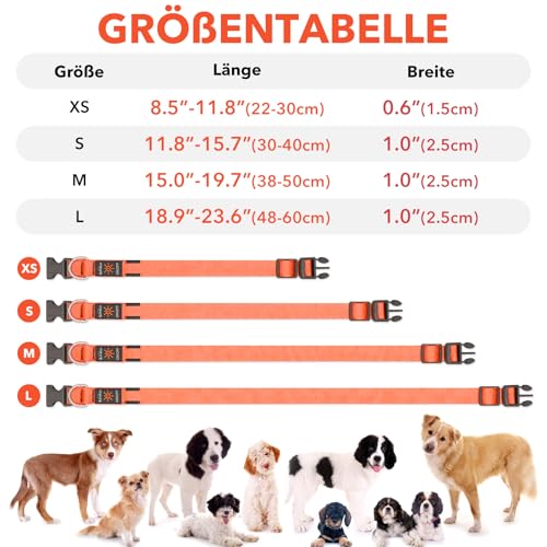 Illumifun LED Leuchthalsband für Hunde - USB-wiederaufladbar Leuchthalsband Hund, Wasserdicht & Größenverstellbar für Mittel Hunde (Orange, M)