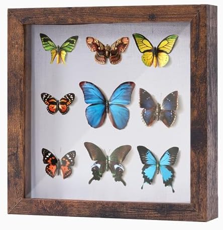 Muzilife 10x10 Shadow Box Picture Frame with Linen Board Deep Wood Glass Display Case Ready to Hang Memory Box Baby Sports Memorabilia, Awards, Medals, Wedding, Tickets and Photos (Grain Gray)